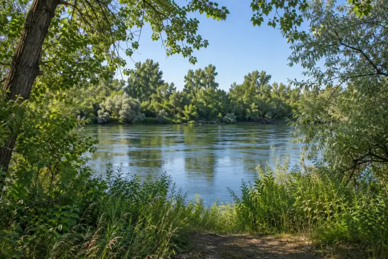 Río Yakima enmarcado por álamos y olivos de Bohemia en el parque W.E. Johnson.